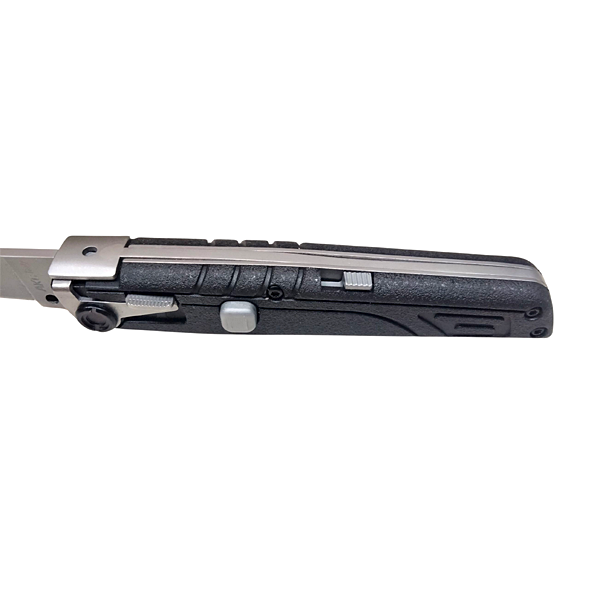 AKC Italian Bill DeShivs Leverletto Lock