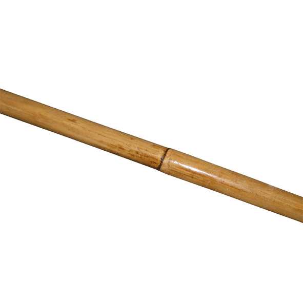 Ratan Stick Close Up