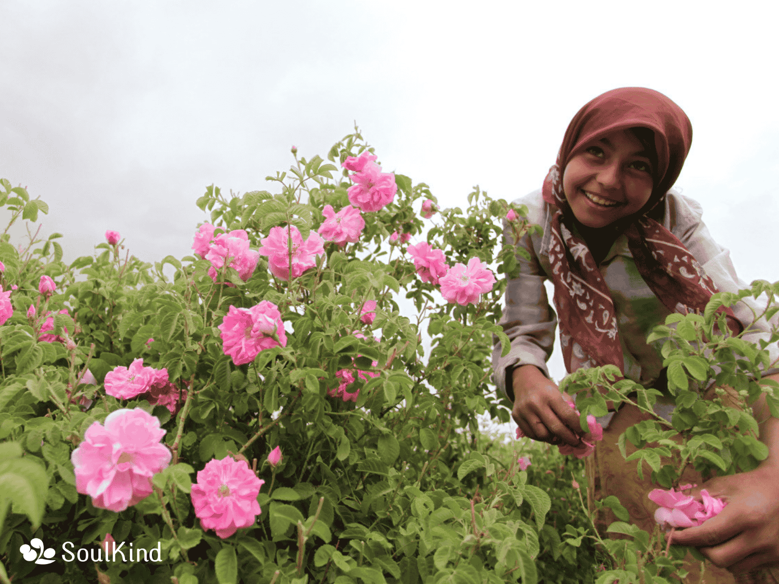 從產地小農到洗臉時刻：SoulKind 用公平交易詮釋永續保養