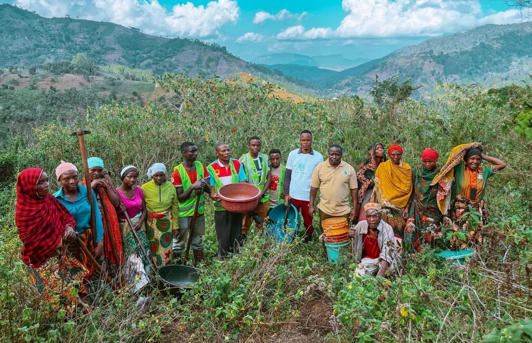 坦尚尼亞 Mkussu 森林