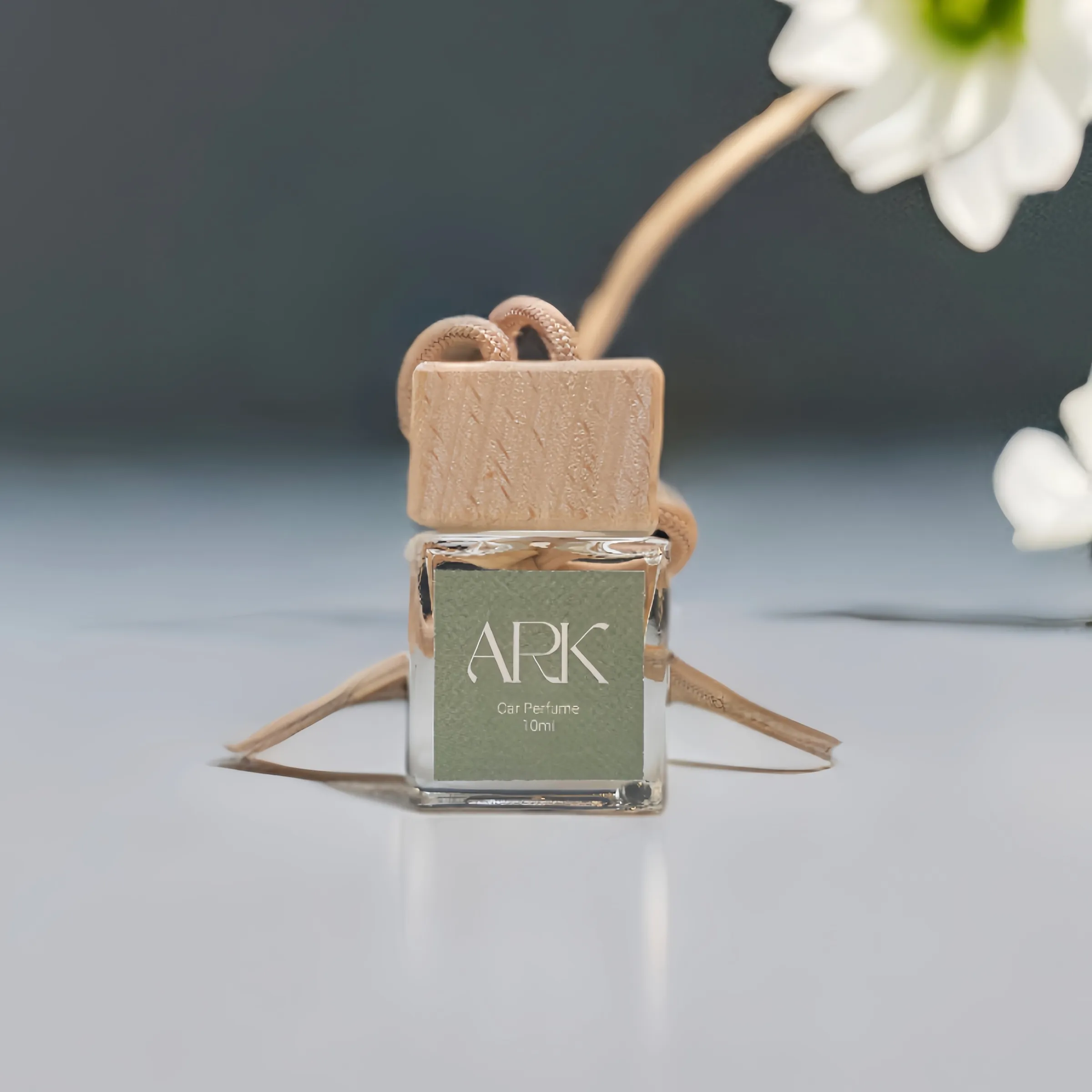 image_48F67EE4-5AC3-426C-ADC9-1D6E4ABE9143_1765359111