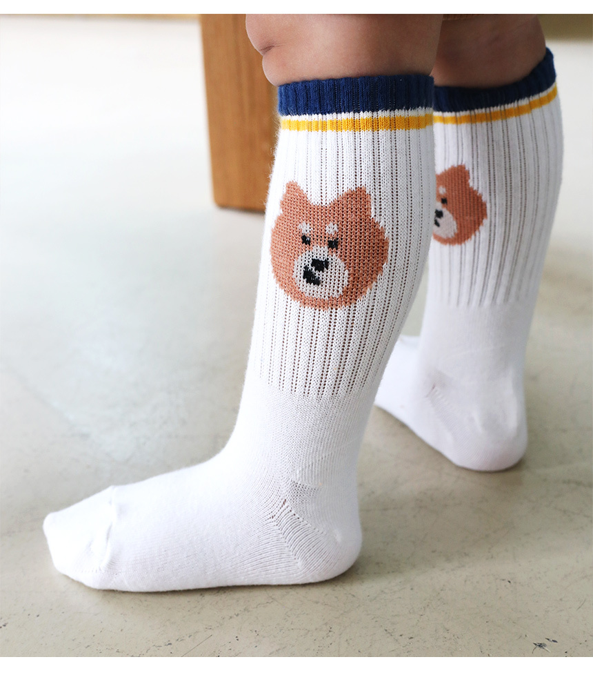 20251001145857_bdc9ec822b004dafa9481bc076a78e0f