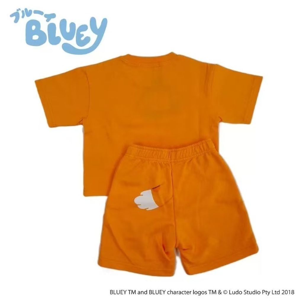 image_9B40A16A-C957-49EE-B861-49716FB77FF3_1772958819