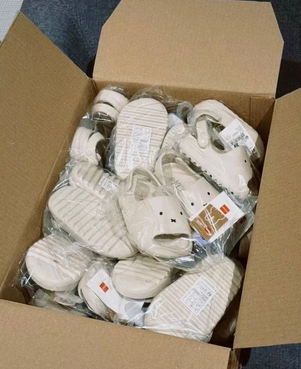 image_ACD277AA-6B01-4825-8FA3-32AB5AFA356E_1772962586