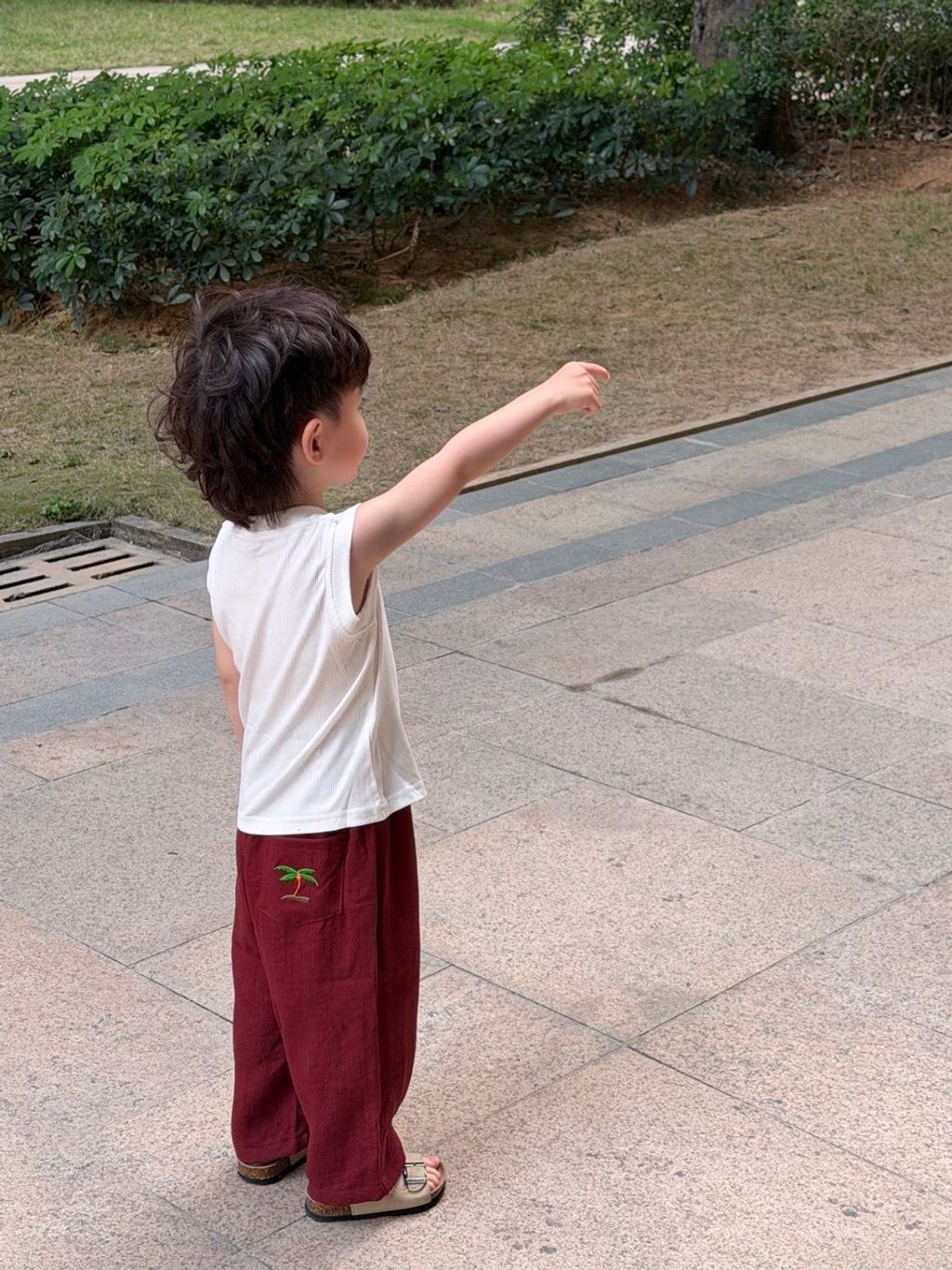 image_94EA0D56-1566-45A4-9CD2-BDA19EB21518_1775049687