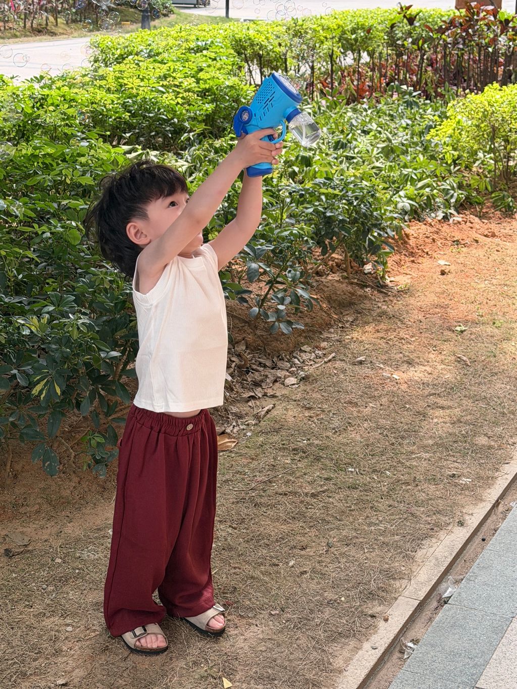 image_1031E0EA-EEF2-424A-B2DF-733FA8B9A812_1775049687