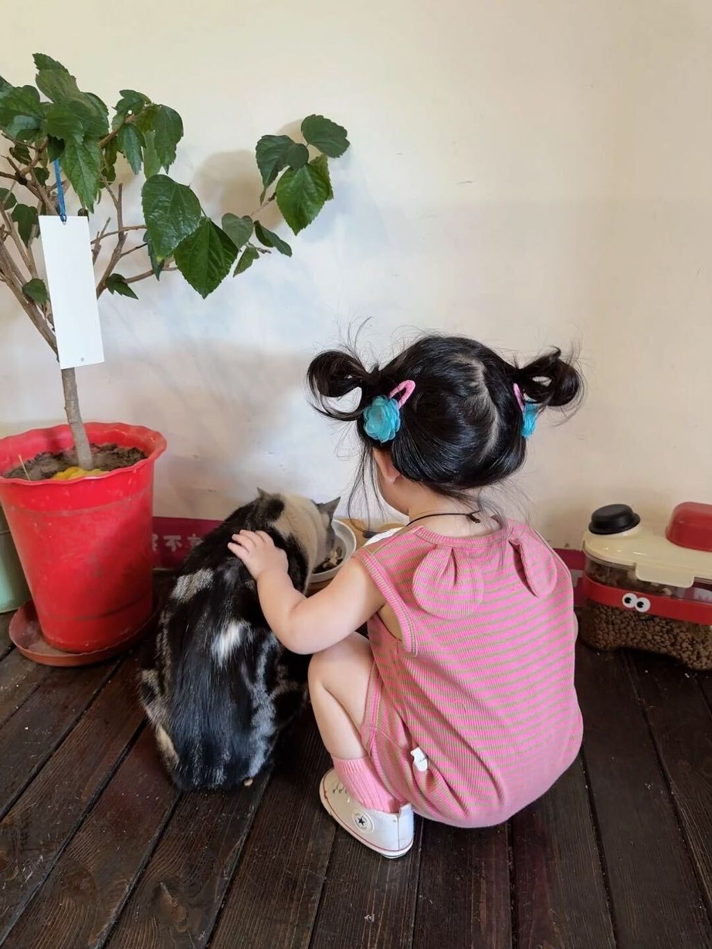 image_F621CA10-E615-4556-8BB3-6A4E28B6BFD2_1775574293