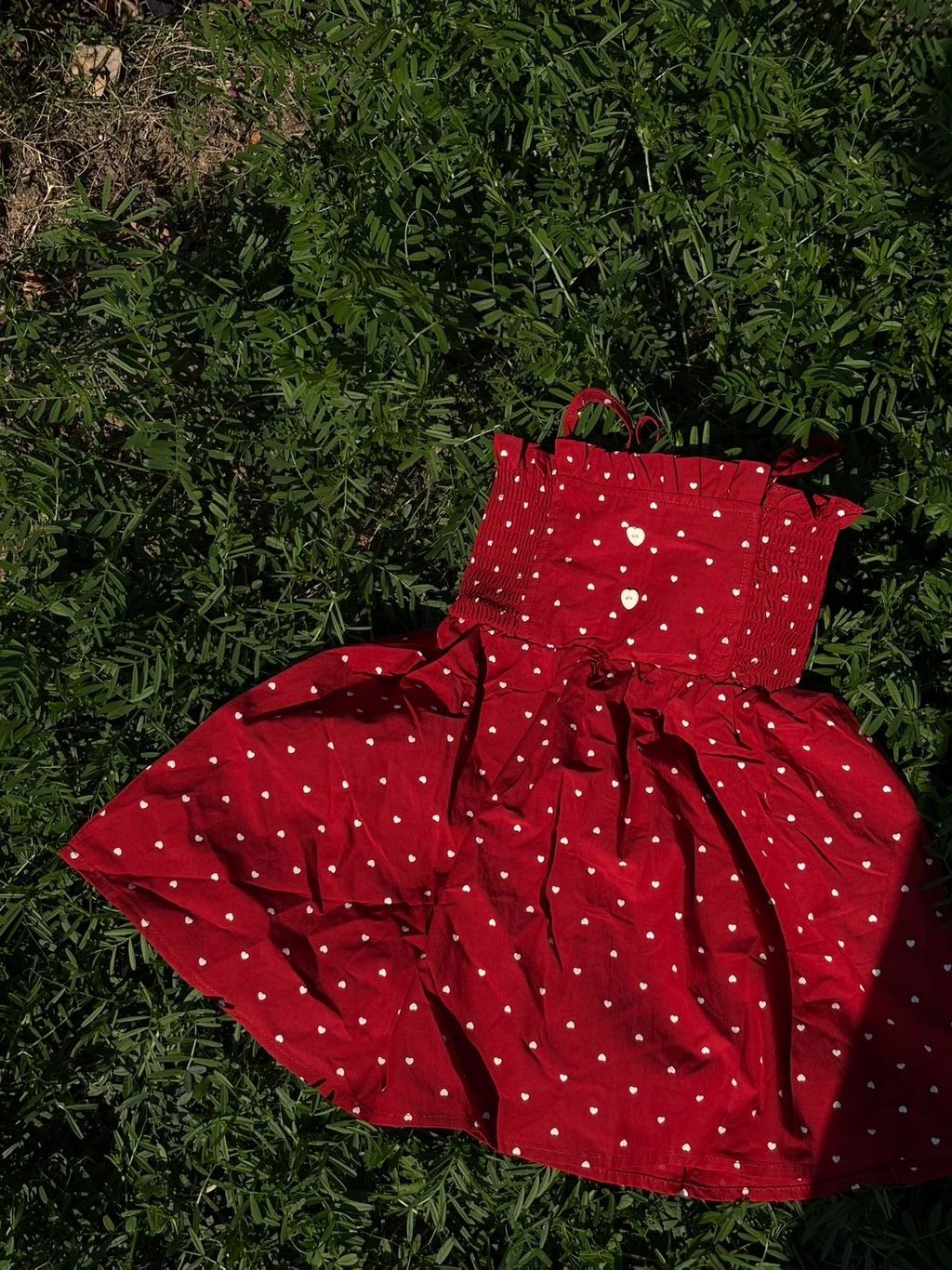 image_3B8FD48F-8D48-45F7-BA30-020F4414185F_1776571494