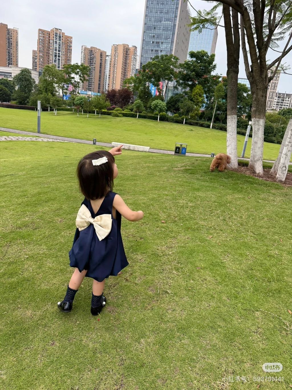 image_1DDC60EF-E7D8-4B75-9B41-09A224963063_1776818018