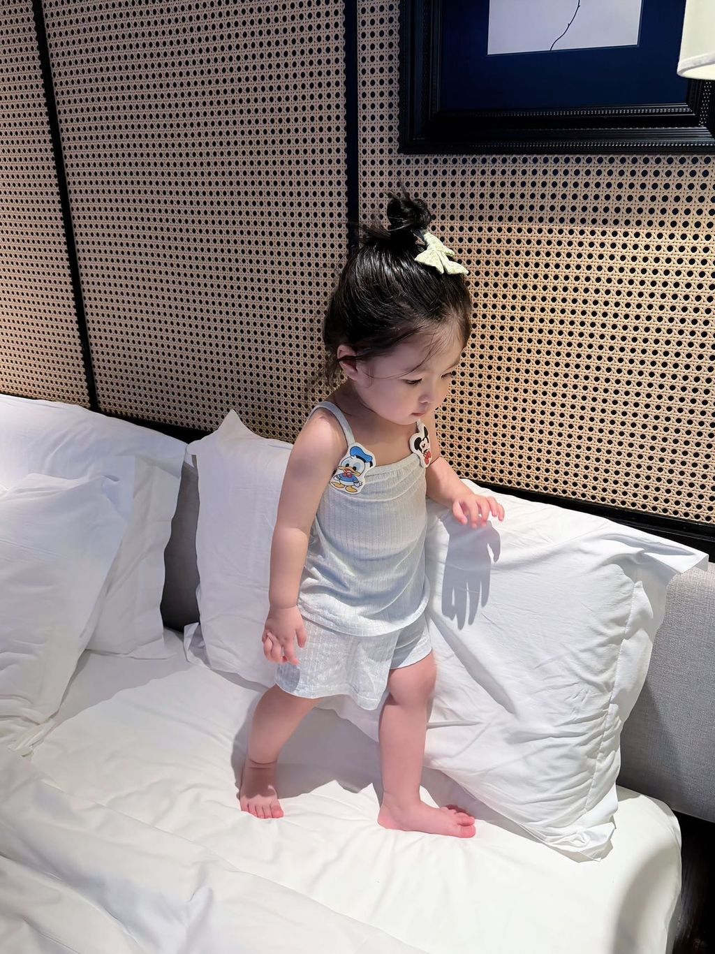 image_CEB55579-B7AD-4BA7-AA26-35CED30E3D38_1777533695