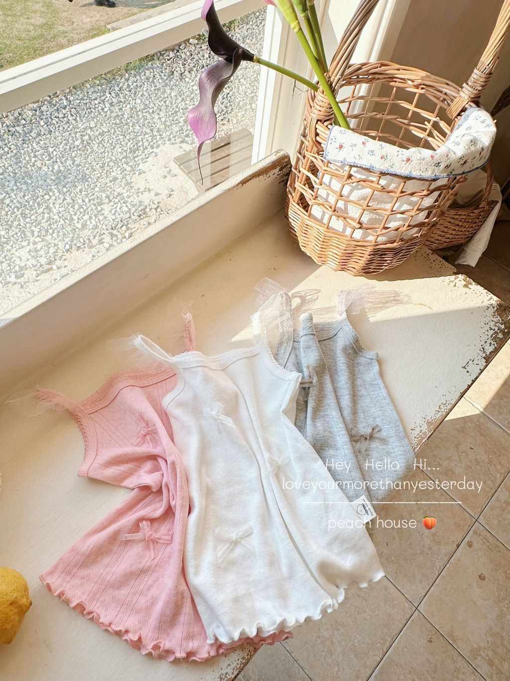 image_D518D7EE-4F2B-4E12-882A-565C12D246BF_1742970286