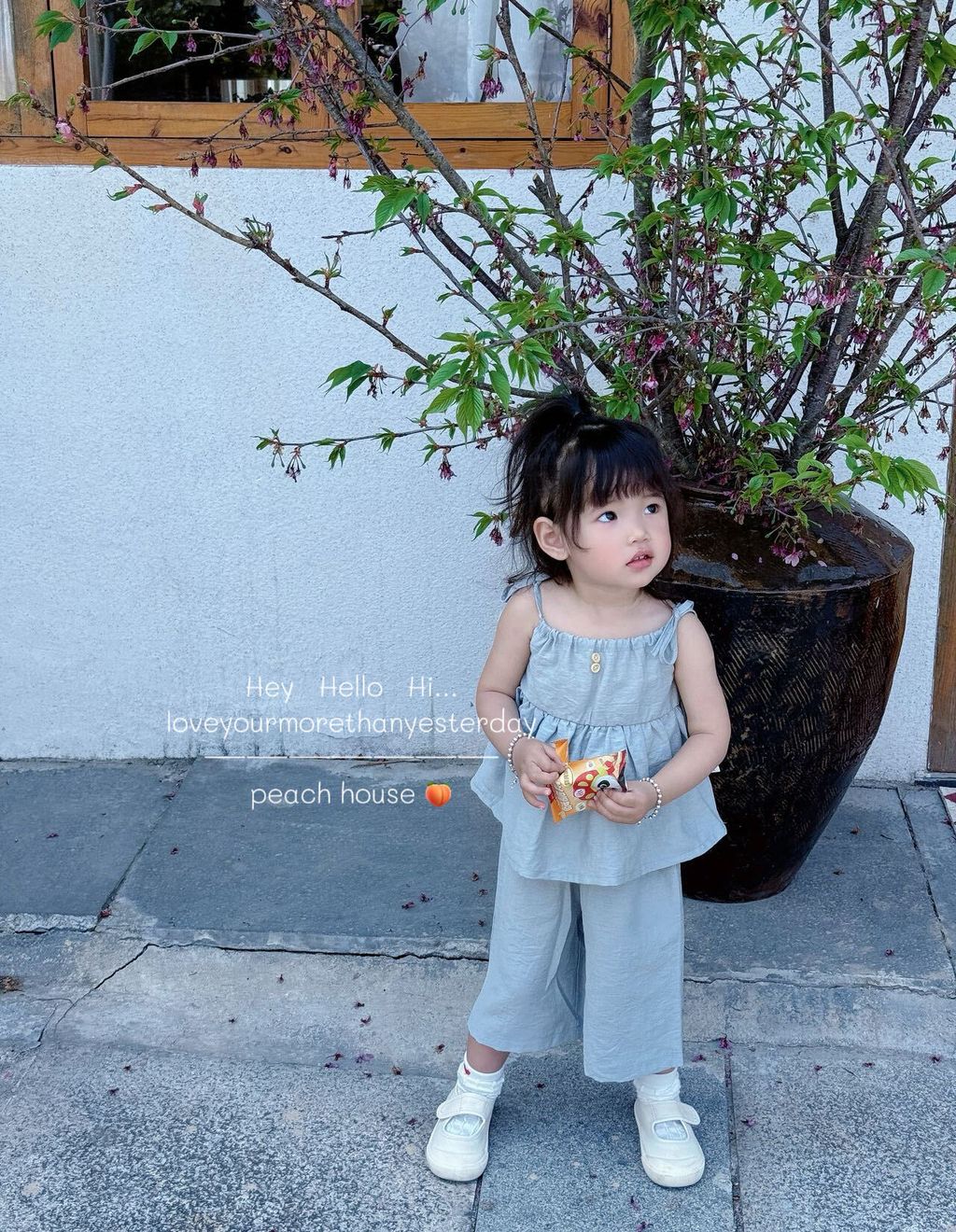 image_74D29A20-22AB-4523-8421-AD26CC5C1068_1742975890