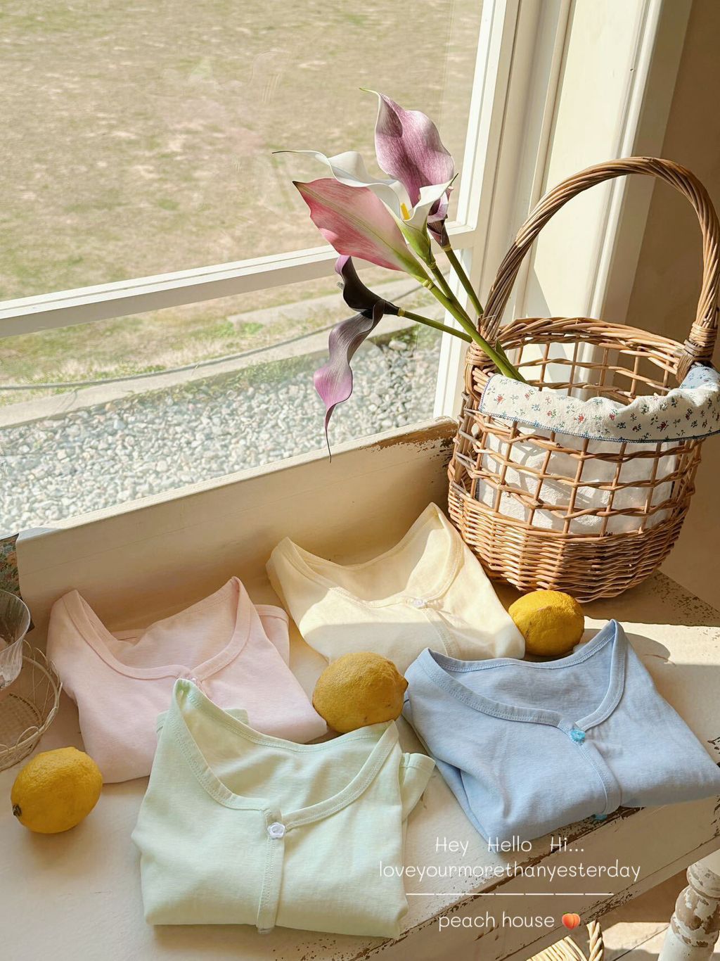 image_C62AFBE2-B000-44F6-804C-B26C9D5E8FF9_1743349213