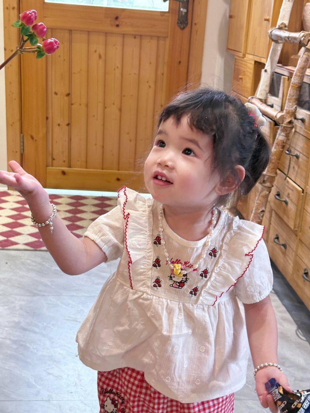 image_AA4AFF23-0971-4BCE-ABB2-49F96BC0104C_1743591534