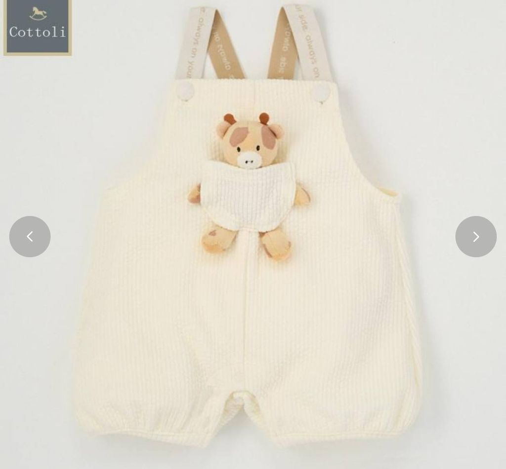 image_2B357B8E-2654-401C-8A7E-259CC6B78A20_1744297082