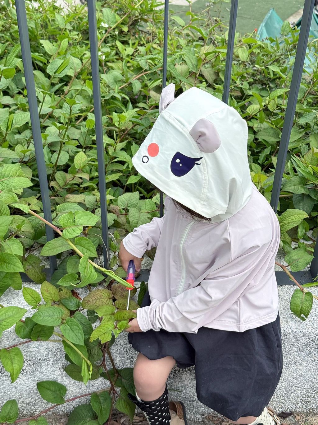 image_6585AB04-F60A-4B82-BCA7-8D3597F9F201_1744983161