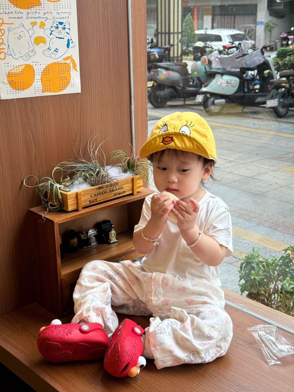 image_BFFB7D3A-B49E-439E-88CC-2CD93105FDEF_1745204147