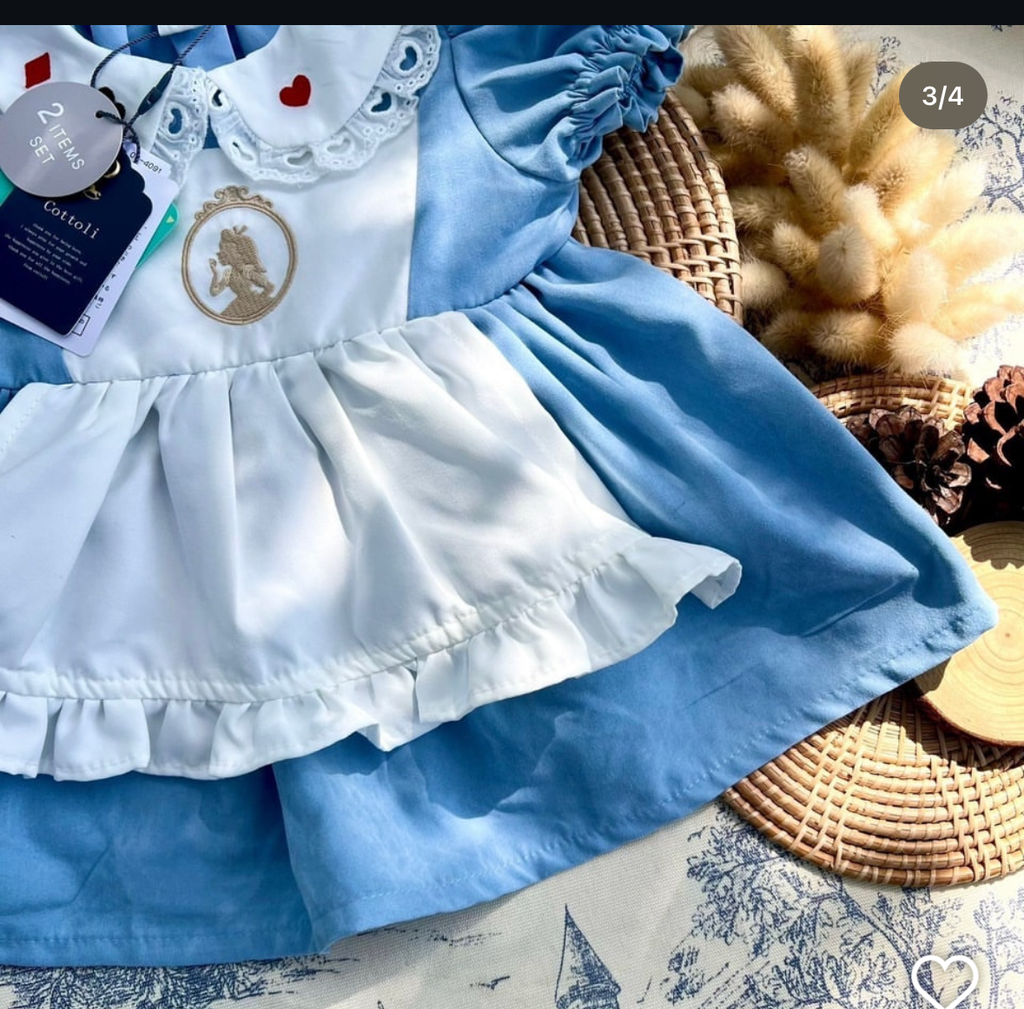 image_FA4313EC-00BB-4F3A-971C-03C940D060D2_1746427568