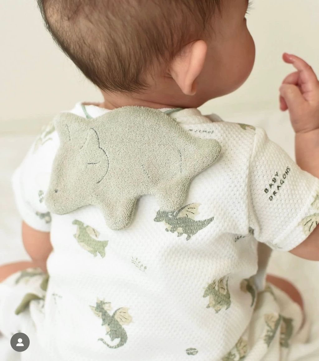 image_C00F2E07-A2EA-4EC4-8F48-BE1DF12CE411_1751163641