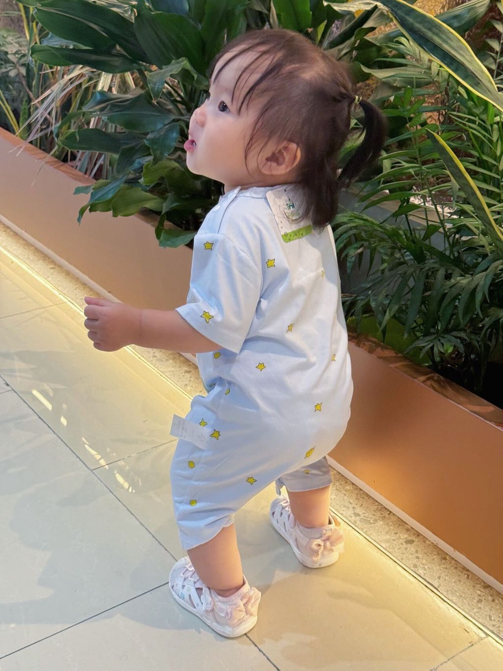 image_AEF371A2-38EF-4F84-BDDF-3D52FEA8CB5A_1751610035