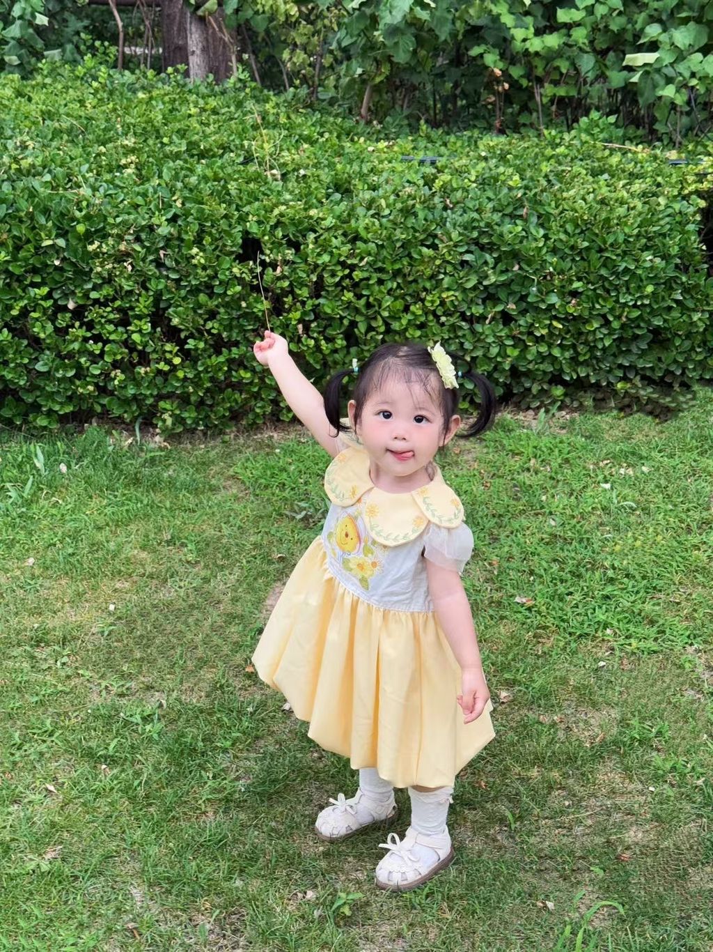 image_C1094899-4060-4543-B907-E6816BCC6470_1751978998