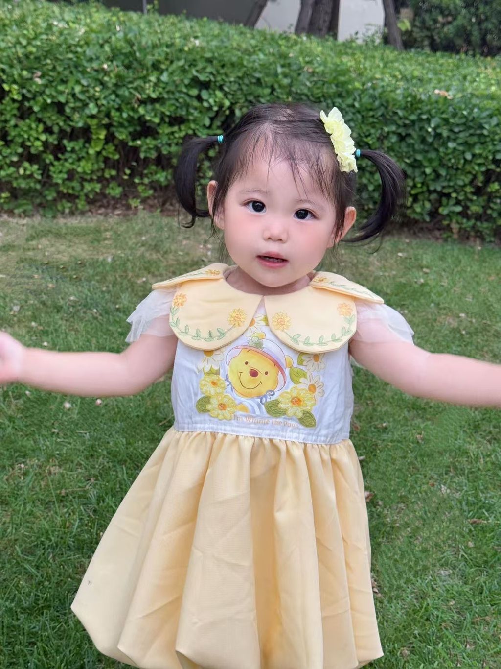 image_7D27472A-71C5-4AB9-BFC3-09A8EF3EFA06_1751978998