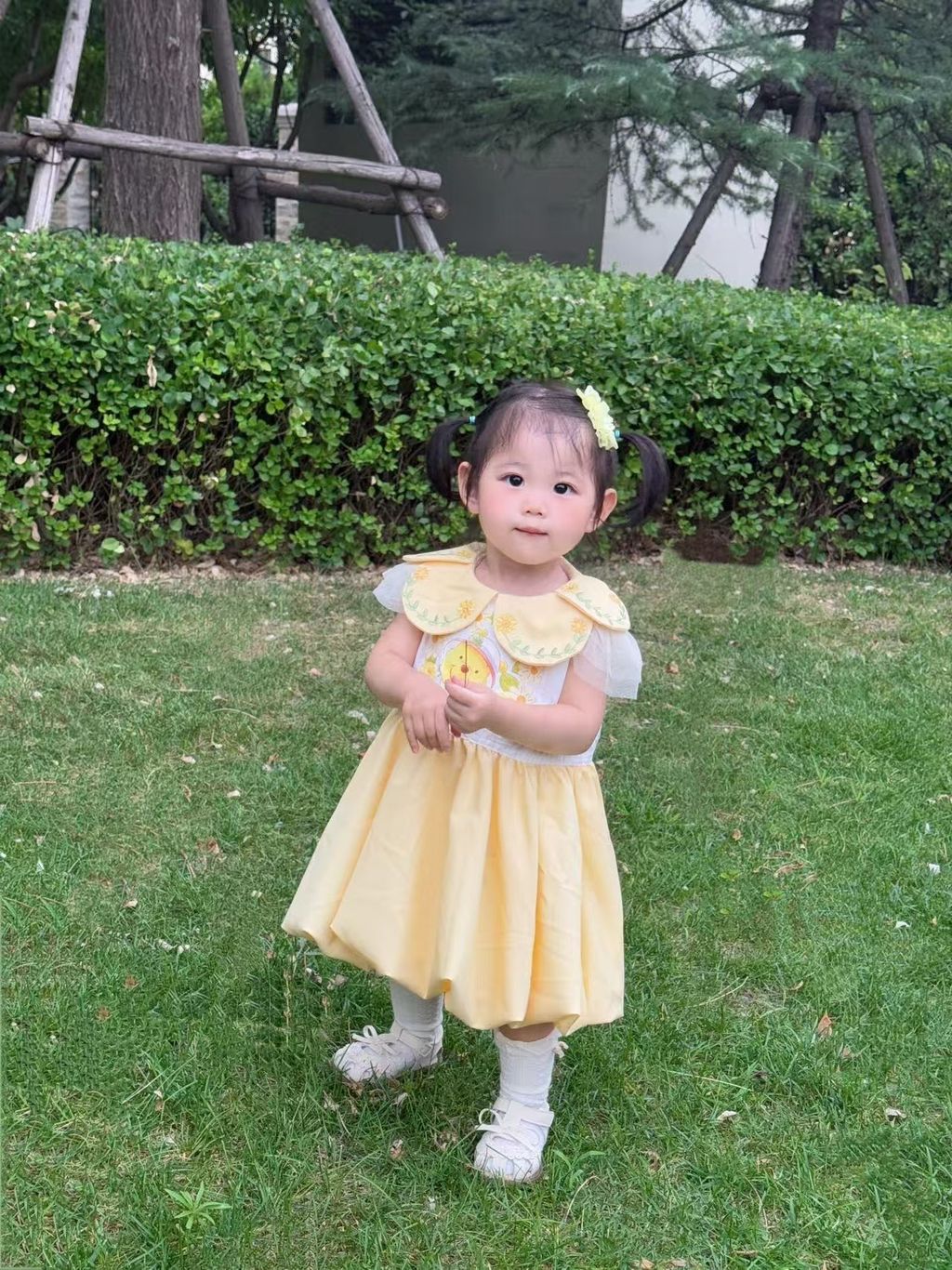 image_0D752BE4-61FD-43F6-BFEA-A97CAB459760_1751978998