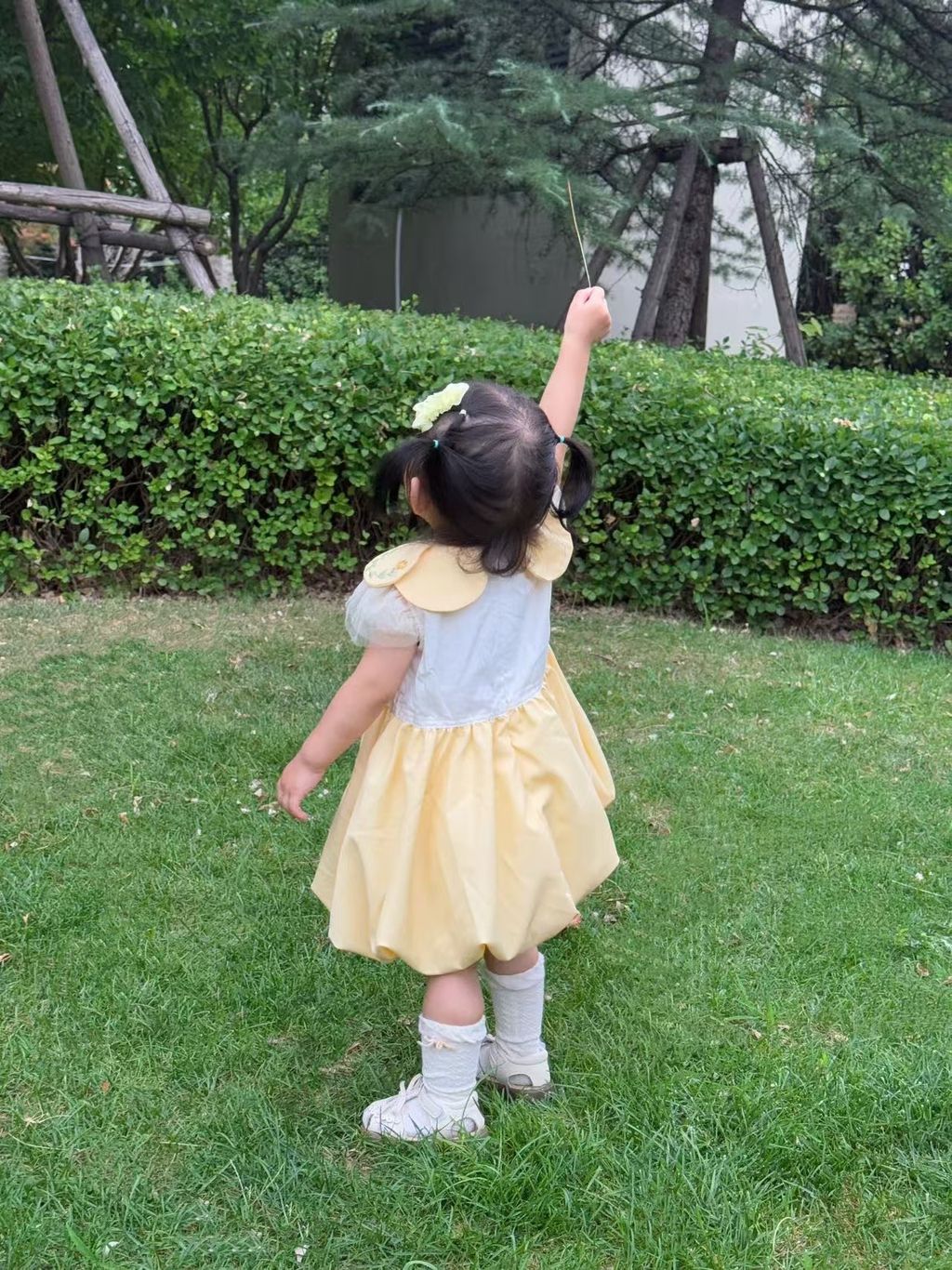 image_29C1D021-4798-44E0-AD2E-A62F80F485BC_1751978998