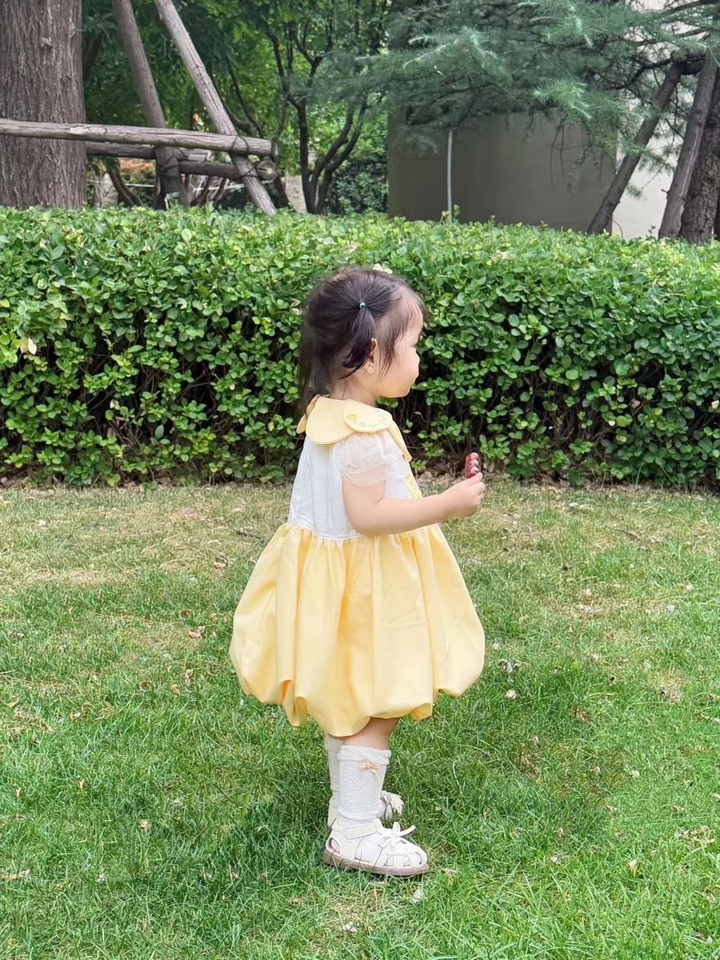 image_B67BF1E2-C0D2-4EE1-B64D-0C4681D831B3_1751978998