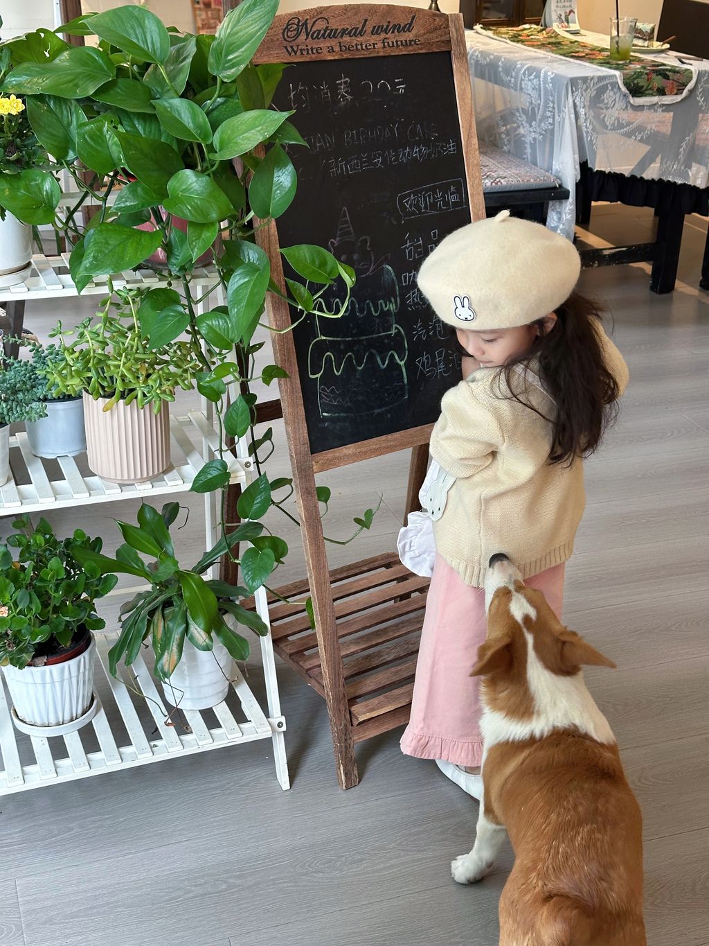 image_5D66BBAE-EA03-42DC-B959-412F10EDD625_1753454727