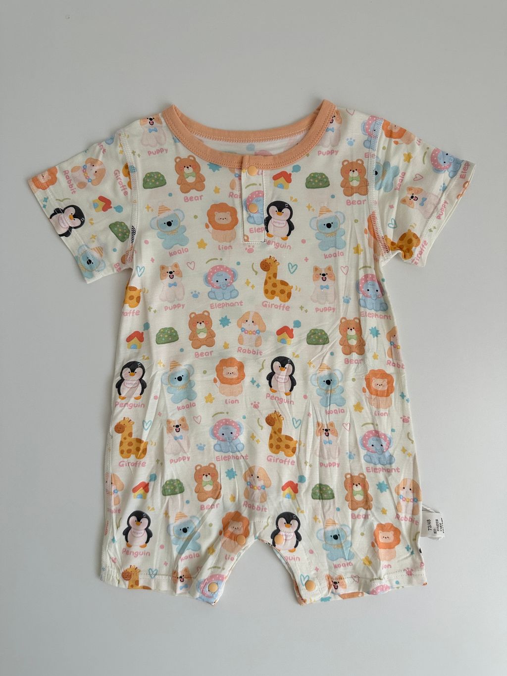 image_B44D0A68-DCE5-4383-8933-02EDA3DC5D66_1753707701