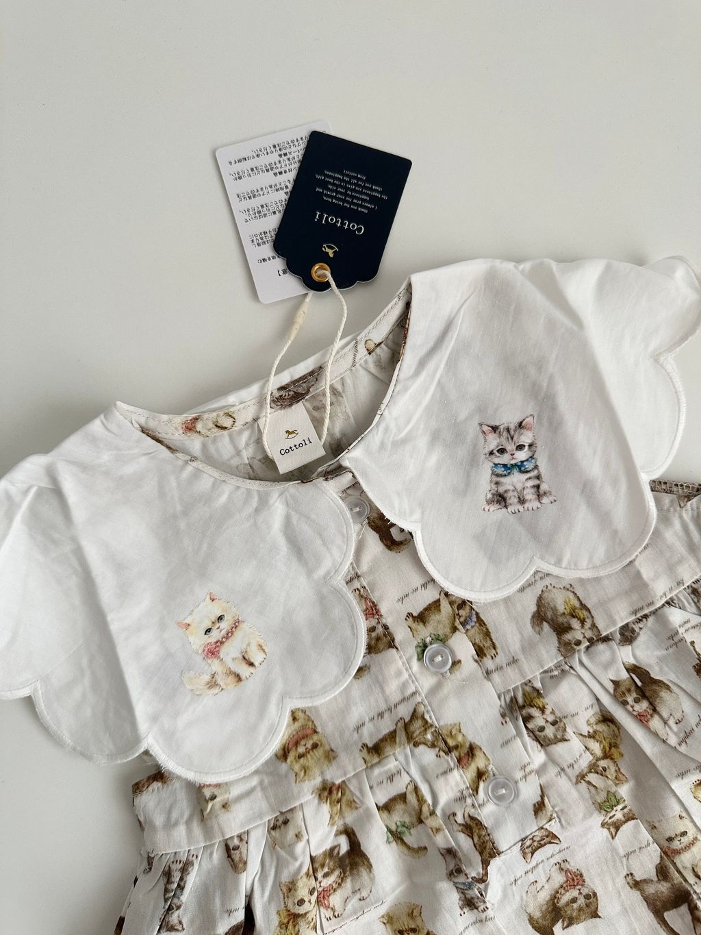 image_836B89C6-A0D0-42C2-B7D5-6293014A138F_1753808200