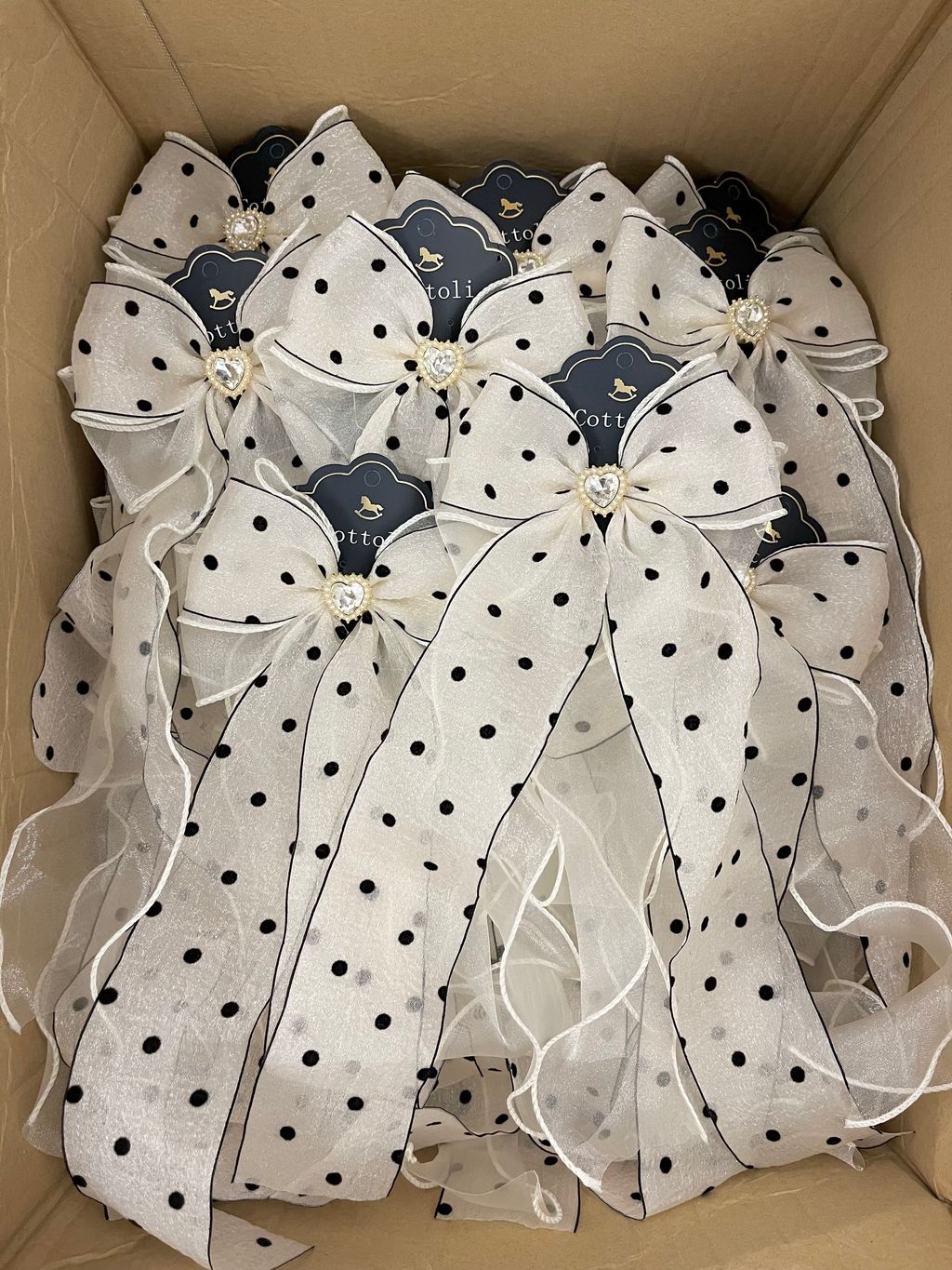 image_1191F122-F67A-4A87-BBD1-028DB8BABB72_1755433792