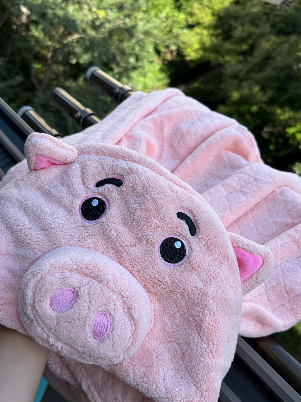 image_25DB1607-49DB-4F5D-844B-A73FE9F86F4C_1755528981