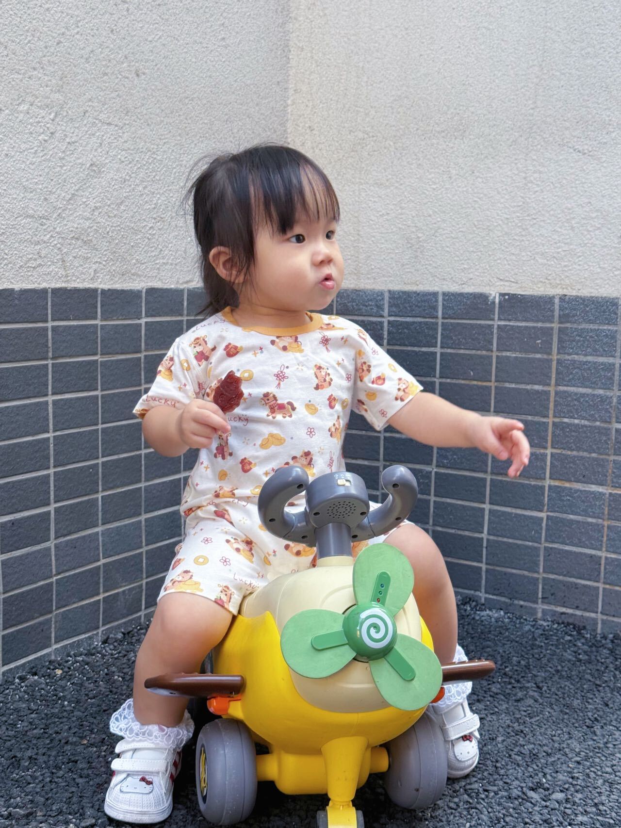 image_97311D50-AFAD-4407-B988-FAA49A656BCF_1766479820