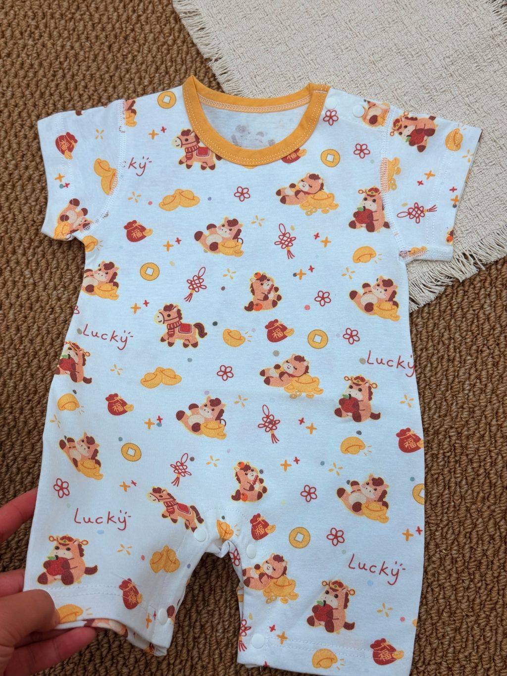 image_B84EAD4F-A754-41CC-AB5A-F5832F428B59_1766479927