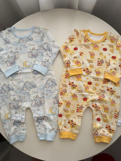 image_9CFD4D8B-B08C-4191-9F9F-1C8F89D081FF_1767085145