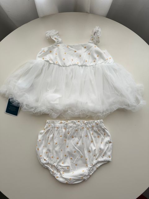 image_49971A31-1628-47AF-8D1B-330E83B2BED1_1767238872