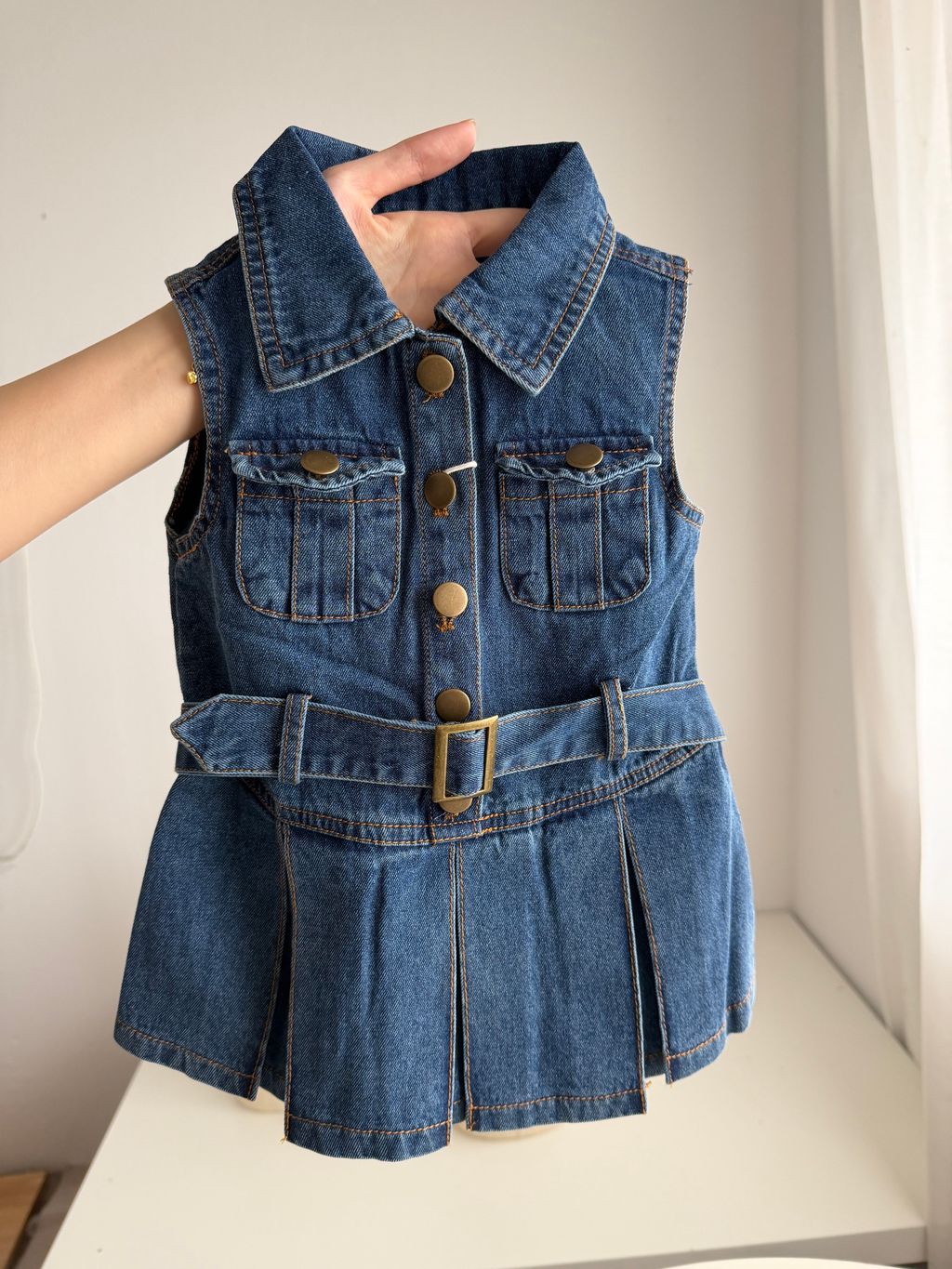 image_4043E870-1571-48D4-8208-579F62B1C9C0_1767492977