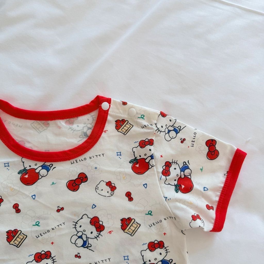 image_FD8FE6E7-E2D4-4595-ADDF-CF2206A019BD_1767761363