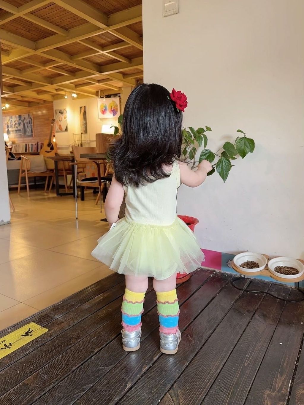 image_29F12A41-3CB2-4857-8C01-AF55010C9F45_1769593423