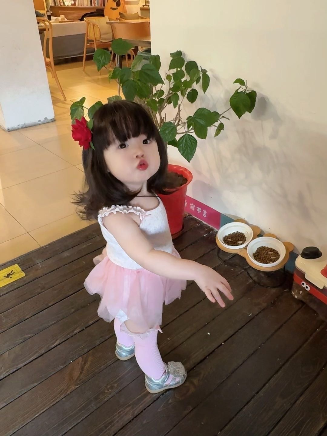 image_FA714A0B-B2E5-4516-81F6-6F0561BCF841_1769593423