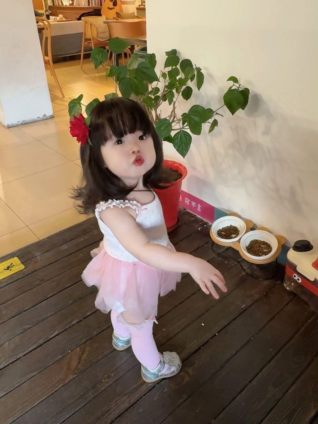 image_FA714A0B-B2E5-4516-81F6-6F0561BCF841_1769593423