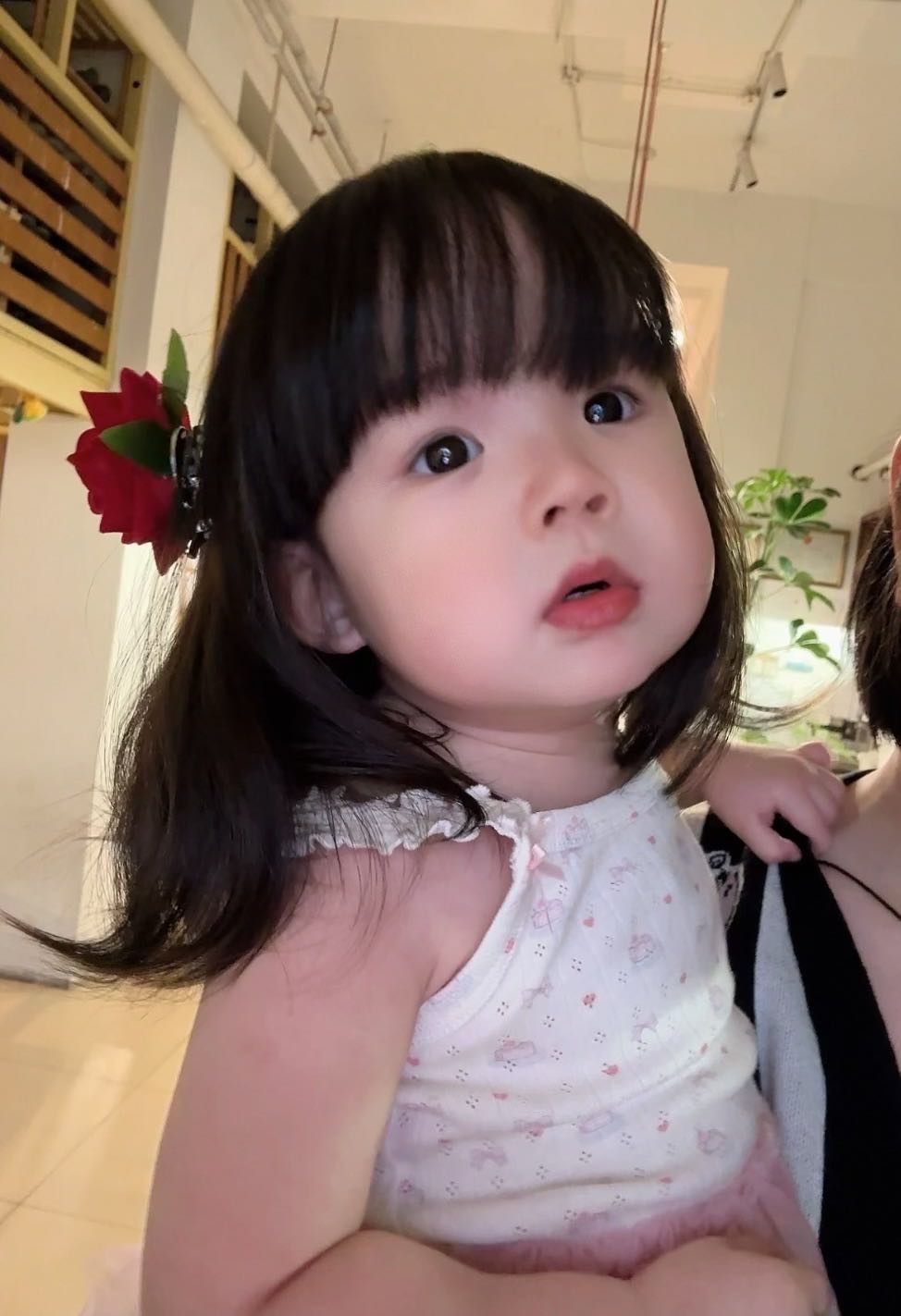 image_07290AF5-52B1-4332-9F5B-30FDE3E5C022_1769593423