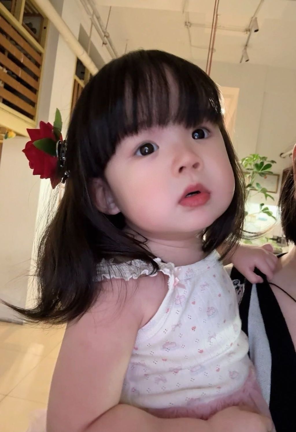 image_07290AF5-52B1-4332-9F5B-30FDE3E5C022_1769593423