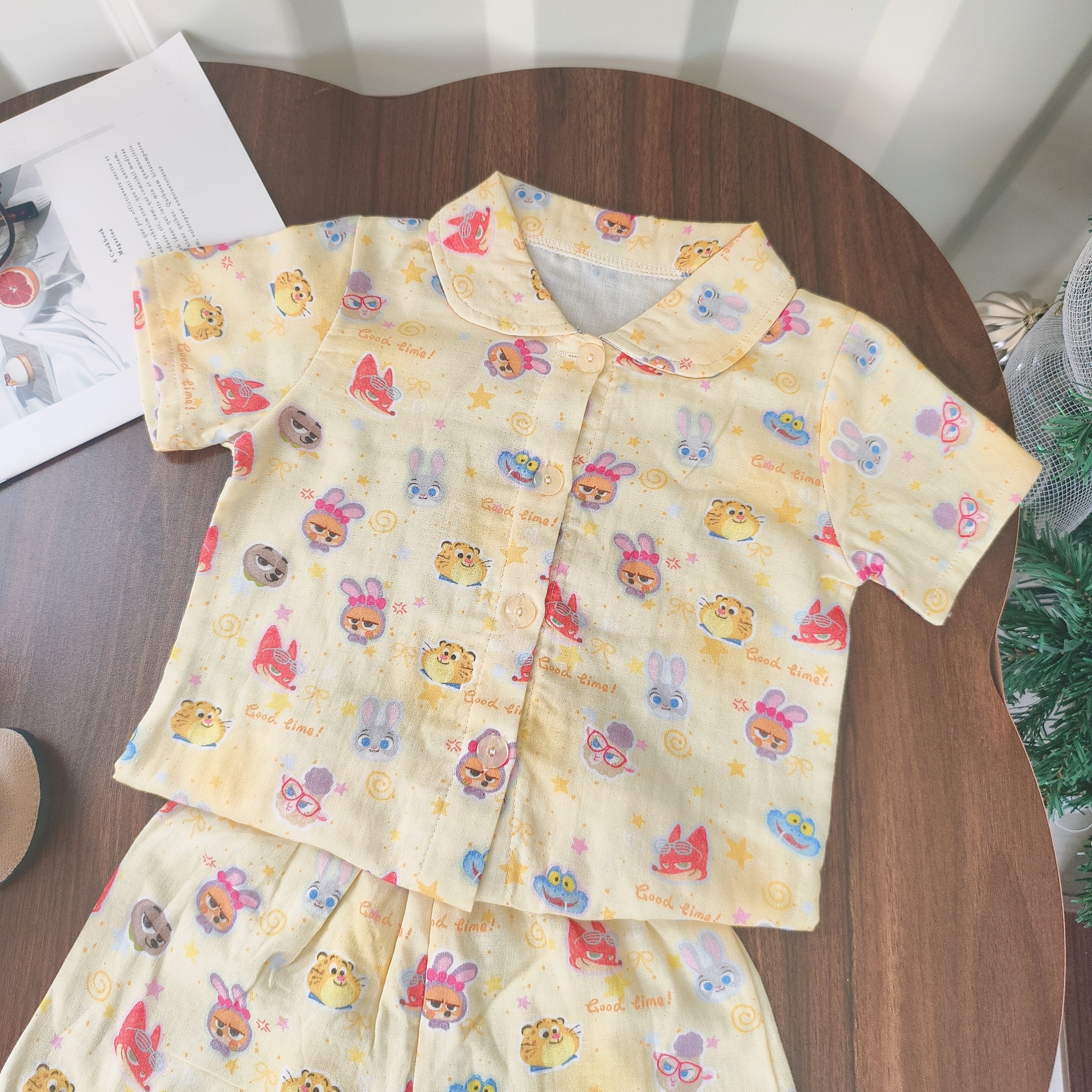 image_FC0ABF86-2380-4E14-B9F4-99401E332E32_1769600862