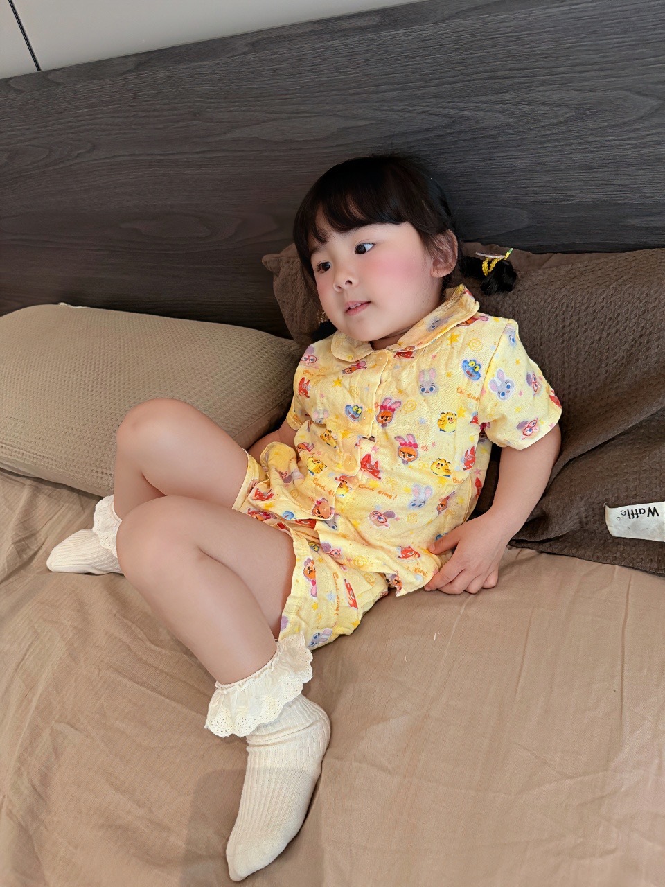 image_B1142B02-B8A4-4938-9437-53E48019087A_1769689530