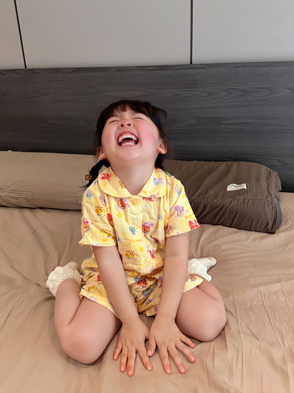 image_CE12E627-0E85-402D-BE6D-08EEC924F00B_1769689530