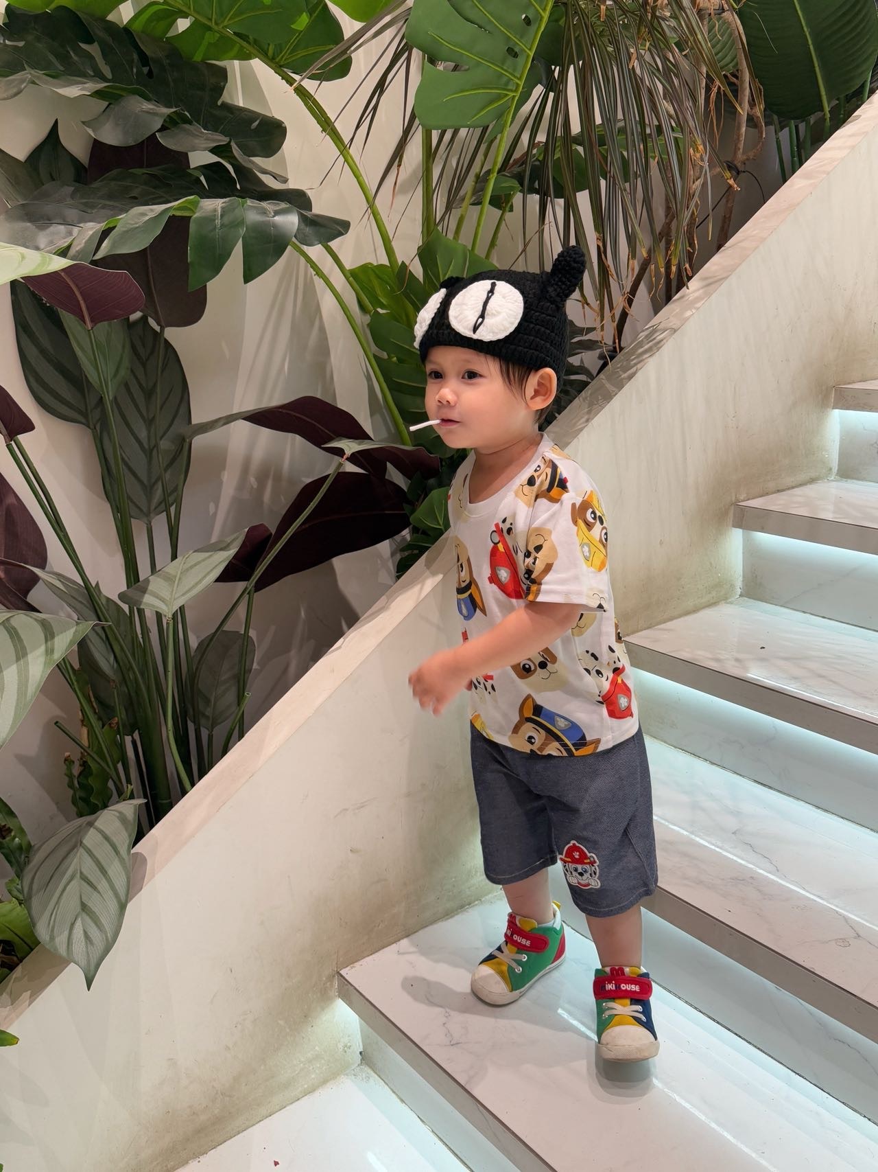 image_B68BA6DB-5DD6-4707-9CCE-40D4648CDB20_1772120196