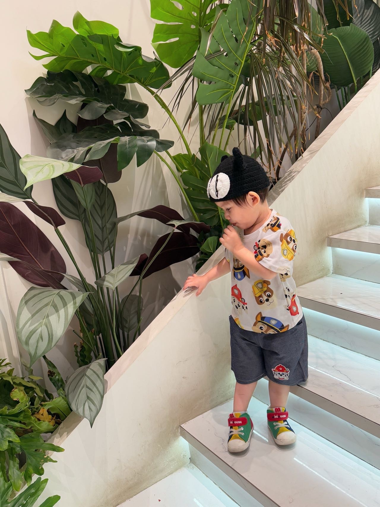 image_6368E889-0E26-462D-B52F-36A1AED3E6CB_1772120196